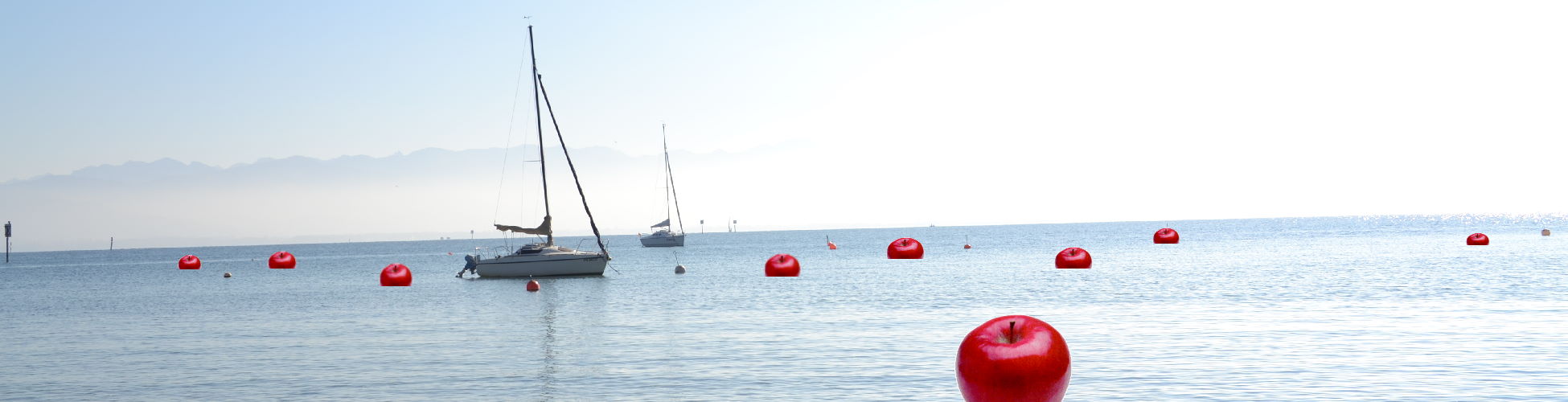 Headerbild der Seite